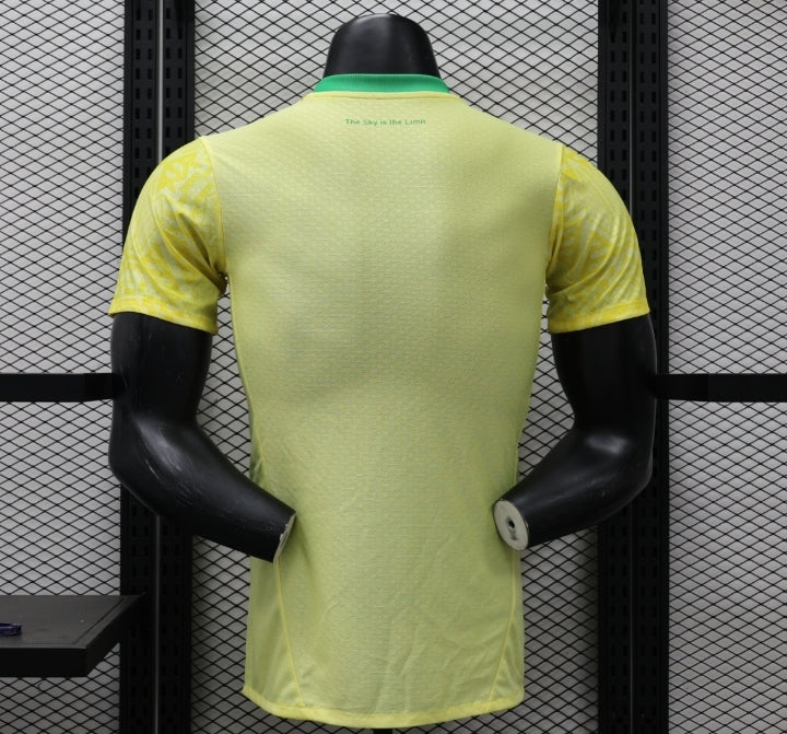 Mamelodi Sundowns Home